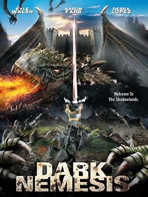 The Dark Knight movie poster