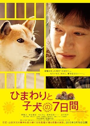 Seven Days of Himawari and Her Puppies movie poster